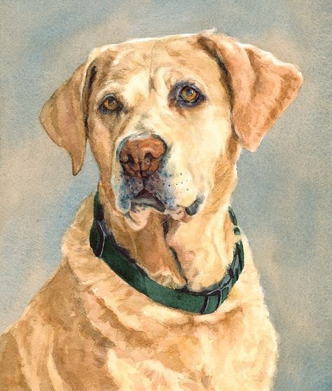 Yellow Lab Painting, Yellow Lab Watercolor, Yellow Lab Art, Lab Painting, Labrador Retriever Art, Golden Labs, Labs Art, Painting Yellow, Yellow Labrador Retriever