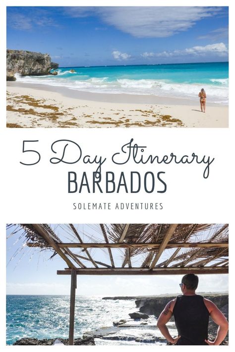 Barbados in February is a fantastic time to visit. Follow our 5 day itinerary to enjoy some of the best of Barbados! #barbados #februaryvacation #caribbean Carribean Travel, Barbados Vacation, Barbados Travel, Dream Trips, Caribbean Destinations, Traveling Ideas, Tropical Travel, Island Destinations, Central America Travel