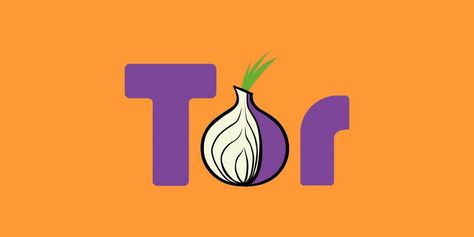 Tor browser FAQ: What is it and how does it protect your privacy? - CNET Tor Browser, Free Online Learning, Robot Dog, Brave Browser, Privacy And Security, Security Tools, Best Vpn, Virtual Private Network, Web Traffic