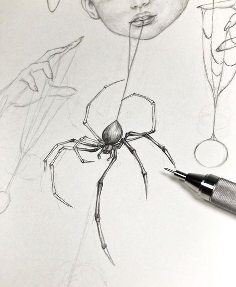 Draw A Spider Web, Draw A Spider, Spider Web Art, Drawing Spider, Web Drawing, Spider Web Drawing, Gothic Spider, Spider Illustration, Spider Drawing