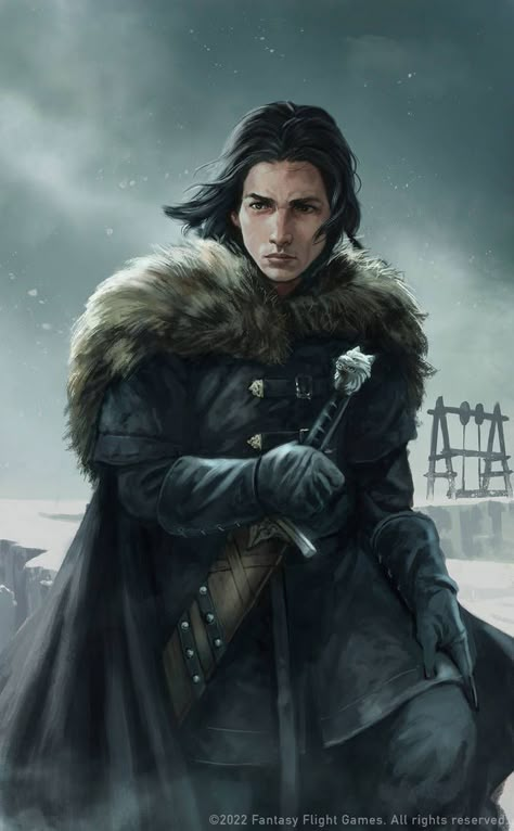 Jon Snow Book, Jon Snow Art, Watchers On The Wall, Game Of Thrones Books, Got Art, John Snow, Asoiaf Art, Gra O Tron, House Stark