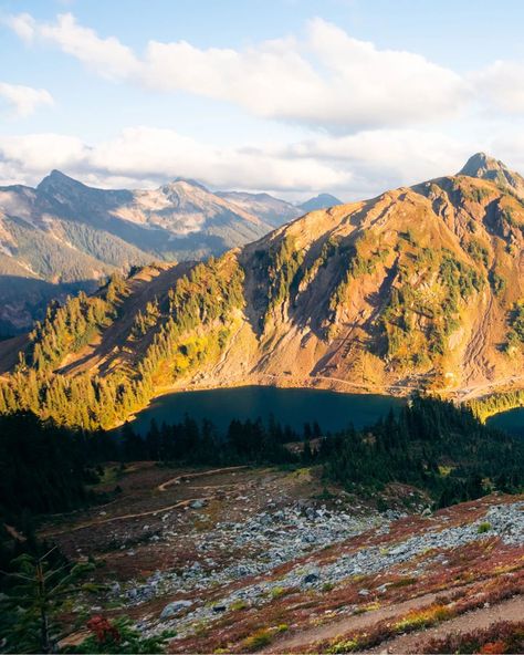 Amazing Fall Hike in Washington. (And summer too) If you like mountain views for miles and a somewhat short and moderate hike then add Winchester Mountain to your list. This hike offers some of the most incredible views in the Mount Baker Snoqualmie National Forest. At the top is a fire lookout sitting up there waiting for you to check it out. 📍Winchester Mountain Trail 🥾 3.5 miles ⛰️1,325 ft of elevation gain This is a great place for a day hike or an overnight. The sunrises + suns... Fall Hike, Fire Lookout, Mount Baker, Washington Hikes, Mountain Trail, Fall Hiking, Mountain Trails, Day Hike, Sit Up