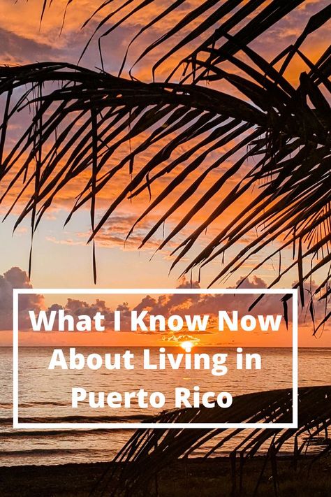 Anna Lech takes you through what she knows now about living in Puerto Rico, from hurricanes to its vibrant culture. #puertorico #livingabroad #dreamsabroad Puerto Rico Living, Living In Puerto Rico, Life Abroad, She Knows, Living Abroad, Travel Information, Study Abroad, Puerto Rico, Travel Guide