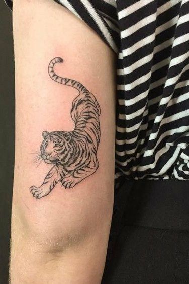 Small Tiger Tattoo, Tiger Tattoos, Tattoo Arm, Tiger Tattoo, A Tiger, Tattoo On, I Hope, Tattoos