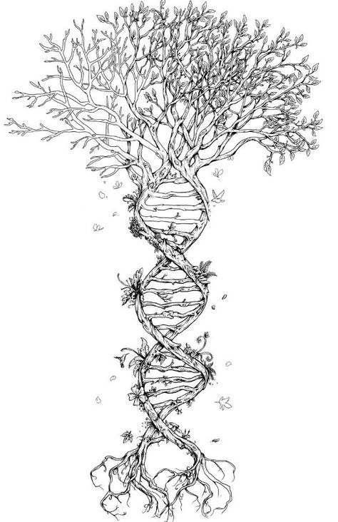 DNA Strand: anatomy and nature Spine. Random Woman, Dna Tree, Dna Tattoo, Family Tree Tattoo, Tree Tattoo Designs, Geniale Tattoos, Tree Of Life Tattoo, Spiritual Tattoos, Desenho Tattoo