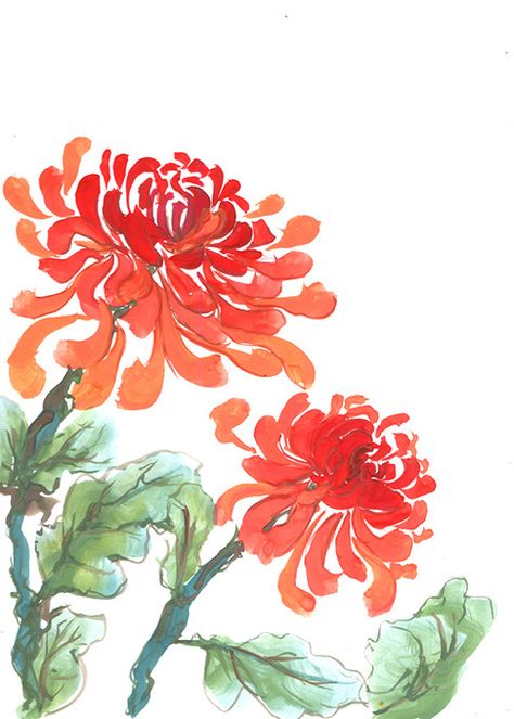 Chrysanthemum Flower Drawing, Chrysanthemum Drawing, Chrysanthemum Watercolor, Chrysanthemum Painting, Gouache Flowers, Watercolor Flowers Tutorial, Flower Stock, Botanical Artwork, Oil Pastel Drawings