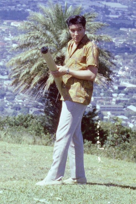 Elvis Presley Blue Hawaii, Picnic Scene, Elvis Films, Elvis Collectors, Graceland Elvis, Elvis Movie, Movie Pictures, Elvis Presley Images, Elvis Presley Pictures