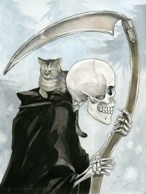 Terry Pratchett Discworld, Don't Fear The Reaper, Dark Circus, Human Eyes, Skeleton Art, Cat Wallpaper, Grim Reaper, Gothic Art, Cat Tattoo