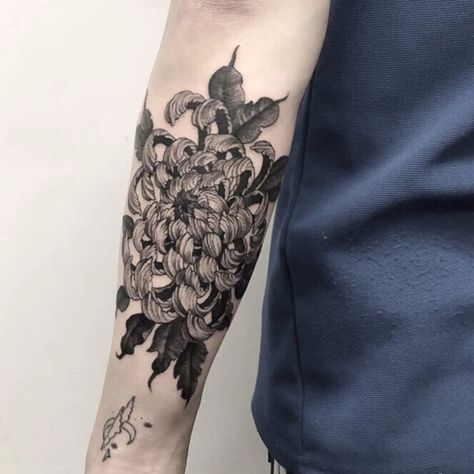 Tattoo uploaded by illson | Chrysanthemum on his forearm - back side. #blackwork #blackandgrey #chrysanthemum #linework #flower #nature #forearm #illson | 927702 | Tattoodo Black Lotus Tattoo, Mandala Tattoos For Women, Motivational Tattoos, Cheap Tattoo, Chrysanthemum Tattoo, Feminine Tattoo Sleeves, Manga Tattoo, Lotus Tattoo, Book Tattoo