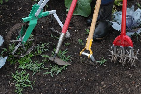 We Put them to the Test and Found our Favorite Weeding Tools Best Garden Tools, Weeding Tools, Garden Tool, The Test, Weeding, Amazing Gardens, Garden Ideas, Garden Tools, Like You