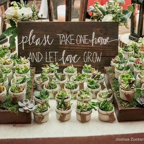 Sustainable Wedding Trends For 2023 Dress Trends 2023, Spring Engagement Party, Succulent Party Favors, Ethical Wedding Dress, Plant Wedding Favors, Succulent Theme, Wedding Plants, Bridal Shower Inspo, Succulent Wedding Favors