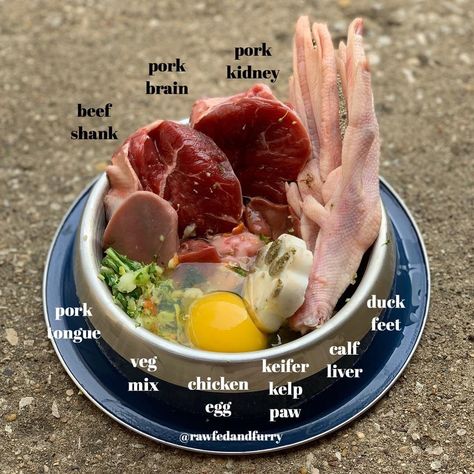 Raw Dog Food Raw Meat Dog Diet, Raw Meat Dog Food Recipes, Raw Fed Dogs Diet, Raw Fed Dogs, Barf Dog Food Recipes, Raw Dog Food Recipes For Large Dogs, Dog Meal Toppers, Dog Raw Food Diet For Beginners, Raw Dog Food Recipes For Beginners