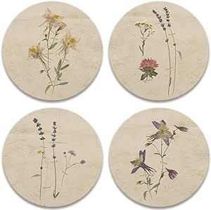 CoasterStone AS459 Drink Coasters, 4.25", Pressed Flowers Crazy Crafts, Gerber Daisy, Gerber Daisies, Entertainment Bar, Stone Coasters, Plant Lover, Pharmacy Gifts, Drink Coasters, Pressed Flowers