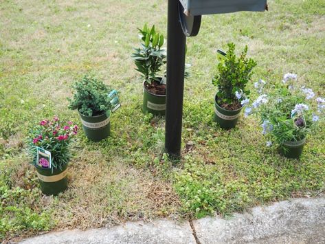 how to boost your mailbox curb appeal — Autumn all along Mailbox Landscaping Perennial, Plants Around Mailbox Curb Appeal, Mail Box Landscaping Curb Appeal, Landscape Around Mailbox Curb Appeal, Planting Around Mailbox Front Yards, Landscaping Mailbox Area, Mailbox Placement, Simple Mailbox Landscaping, Plants Around Mailbox Post