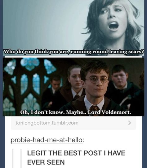 Oh, I don't know. Maybe.. Lord Voldemort. Severus Sneep, Hp Funny, Scorpius And Rose, Star Wars Meme, Yer A Wizard Harry, Movies Quotes, Lord Voldemort, Harry Potter Jokes, Harry Potter Love