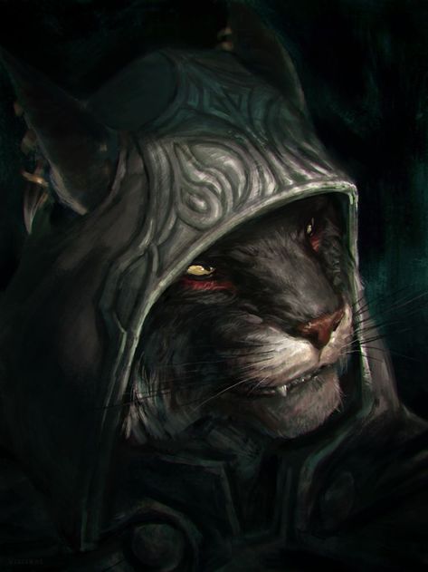 Catfolk Tabaxi Rogue Ranger Male Tabaxi Wizard, Wizard Robes, Skyrim Art, Elder Scrolls Art, Fantasy Heroes, Heroic Fantasy, The Elder Scrolls, Fantasy Races, Desenho Tattoo