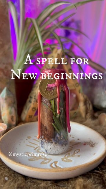 Spells Jars, Celebrate Ostara, Witchcraft Store, Altar Shelf, Eye Plate, Wicca Recipes, Goddess Provisions, Candle Magic Spells, Good Luck Spells