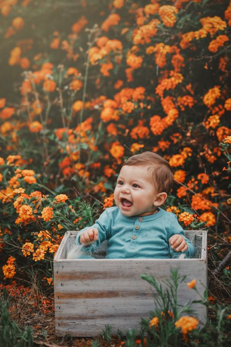 6 month old baby boy in his sitter session in a beautiful park, a portrait by Nature’s Reward Photography 6 Month Baby Picture Ideas Outdoor, 6 Month Baby Picture Ideas Boy, Fall Baby Photos, Outdoor Baby Photography, Fall Baby Pictures, 6 Month Baby Picture Ideas, Photoshoot Boy, Boy Photoshoot, Baby Photography Poses