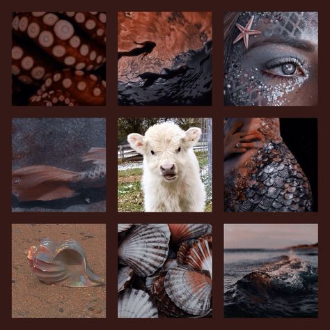 Cow Moodboard, Far Aesthetic, Animal Moodboard, Aesthetic Types, Adopt Idea, Mermaid Aesthetic, Mood Board Inspiration, Creating Characters, Scene Design