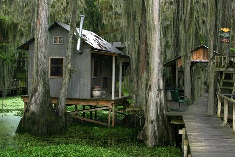 The Wangdoodle-a little fishing cottage at Spatterdock, Caddo Lake Camp Calloway, Swamp Cottage, Fishing Cottage, Swamp House, Caddo Lake State Park, Bayou House, Southern Gothic Aesthetic, Dead Calm, Caddo Lake