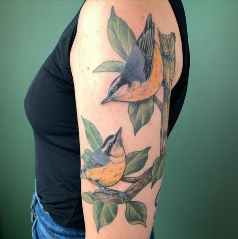 Taylor Hudson 🐇🌙 on Instagram: "Nuthatches hanging out together 💕 Colour in the birds is fresh, rest is healed. Thank you Helen!! [Pictured is a colour tattoo on the upper arm of two nuthatch birds perched on a branch. One bird on the lower left looking up at the other on the upper right that is hanging on the side of a large branch looking downwards. There are leaves surrounding the birds.]" Two Birds On A Branch Tattoo, Nuthatch Tattoo, Taylor Hudson, Nuthatch Bird, Nuthatches, Colour Tattoo, Branch Tattoo, Upper Arm Tattoos, Bird On Branch