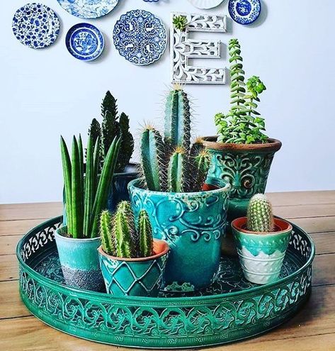 Cactus Centerpiece, Cactus House Plants, Cactus Types, Decor Eclectic, Meteor Garden 2018, Magic Garden, Succulents Decor, Deco Boheme, Cactus Plant