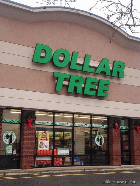 The Best Items to buy at Dollar Tree Dollar Tree Storage, Dollar Tree Haul, Dollar Tree Hacks, Dollar Store Hacks, Dollar Tree Finds, Diy Dollar Tree Decor, Dollar Store Organizing, Dollar Tree Decor, Must Buy