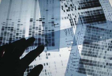 DNA Dna Music, Dna Artwork, Dna Tree, Dna Replication, Funny Test, Dna Testing, Science Rules, High School Biology, Human Genome