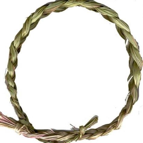 Sweet grass can be grown at home to use with your prayers AHO Sweetgrass Braid, Types Of Grass, Hair Raising, Plant Art, Spiritual Journey, Smell Good, Grapevine Wreath, Grape Vines, Mac Cosmetics