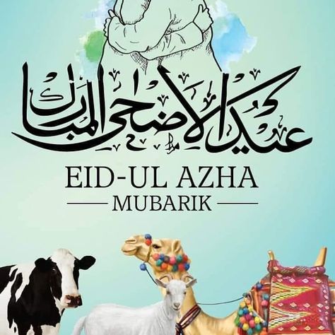 Eid Azha Pic, Eid Ul Azha Mubarak Pics, Eid Ul Adha Mubarak Greetings, Eid Outfits For Teens, Eid Ul Azha Mubarak, Eid Ul Adha Images, Eid Mubarak Wishes Images, Eid Al Adha Greetings, Eid Images