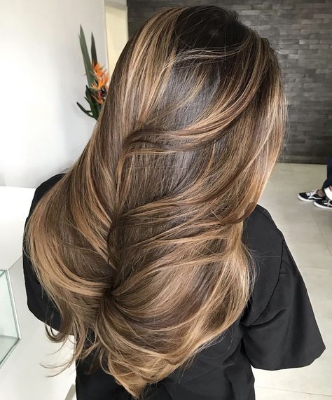 Blonde Hights With Brown Hair, Honey Brown Balayage On Black Hair, Honey Highlights Brown Hair, Light Brown Hair With Dark Highlights, Full Head Blonde Highlights On Dark Hair, Honey Blonde Highlights On Dark Hair, Brown Sugar Brunette, Sunkissed Hair Brunette, Sunkissed Hair