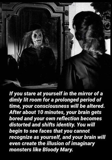 Short Scary Stories, Scary Horror Stories, Supernatural Facts, Creepy Quotes, Short Creepy Stories, Short Horror Stories, Psychological Facts Interesting, Scary Facts, Brain Facts