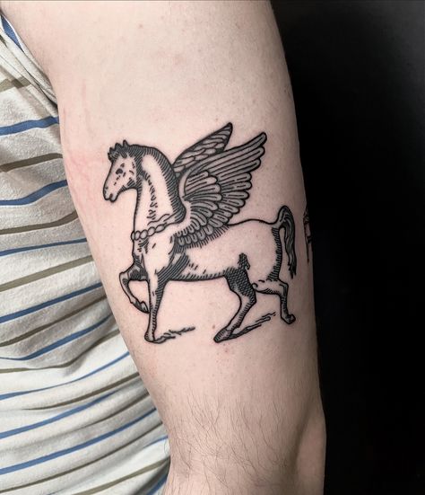 Pegasus. Pegasus Tattoo Women, Pegasus Tattoo, Tattoos For Women, Tattoos