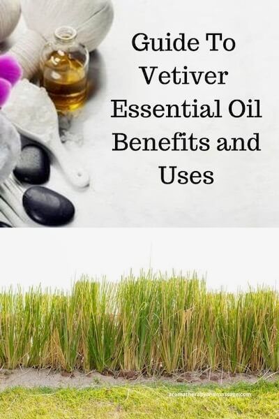 Guide To Vetiver Essential Oil Basil Essential Oil, Diy Essential Oil Recipes, Vetiver Essential Oil, Jasmine Essential Oil, Essential Oil Diffuser Recipes, Aromatherapy Blends, Chamomile Essential Oil, Patchouli Essential Oil, Essential Oil Benefits