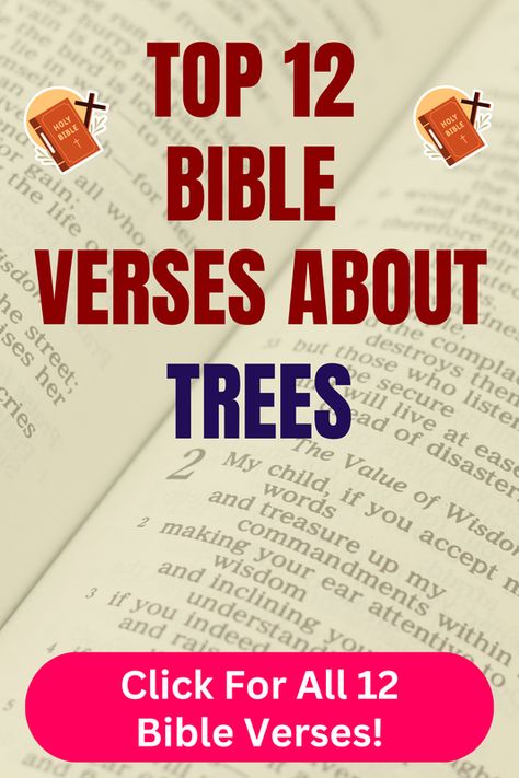 Check out our top 12 Bible verses about trees and learn more what does the Bible say about trees. Click For All 12 Bible verses! Scripture About Trees, Verses About Heaven, Bible Verses About Relationships, Bible Chapters, Top Bible Verses, Psalm 92, Revelation 22, About Trees, Isaiah 55