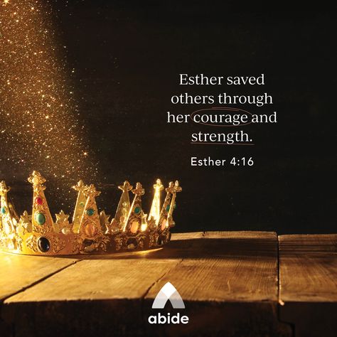 What will you risk to do what’s right? Meditate on Esther 4:16. Queen Esther Aesthetic, Ester In The Bible, Esther Anointing, Queen Esther Bible, Brotherhood Of The Wolf, Esther Bible, Book Of Esther, Women Of The Bible, Lds Scriptures