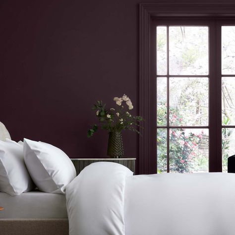 Plum Accent Wall Bedroom, Plum Bedroom Walls, Dark Purple Bedroom Walls, Deep Purple Bedroom, Plum Bedroom Ideas, Dark Purple Bedroom, Plum Paint Colors, Purple Wall Paint, Plum Bedroom