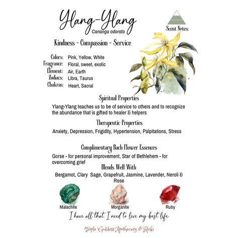 Ylang ylang is an essential oil I like to use in my magical and mundane life. Learn more at Patreon: https://patreon.com/TripleGoddessApothecaryandReiki
Website: https://www.triplegoddessapothecaryreiki.com
#triplegoddessapothecaryandreiki #crystals  #witchcraft #pagan #tarot #classes #runes #reiki #herbs Essential Oil Witchcraft, Ylang Ylang Benefits, Mundane Magic, Ylang Ylang Essential Oil Benefits, Oil Witchcraft, Crystals Witchcraft, Mundane Life, Ylang Ylang Essential Oil, Magical Herbs