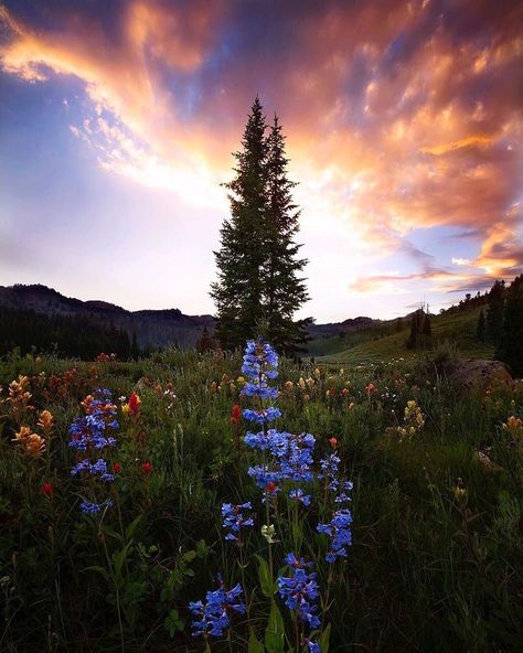 ➡️Since 2013 #ig_shotz_apr19 on Instagram: “ֹ ✦ SPECIAL FEATURE by @dereksturmanphotography ✦ Chosen by Maria @pashon50 ✦ Congratulations 🏆 ✦  Tag your best shots to #ig_shotz_may19…” Utah Aesthetic, Logan Utah, Come Soon, Landscape Photography Nature, Space Pictures, Amazing Spaces, Old Paintings, Wonders Of The World, Special Features