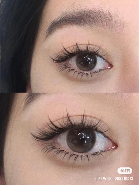 Cat Eye Lash Extensions Natural, Eyelash Extensions Doll Eye, Eyelash Extension Styles, Manhua Lashes, Cat Eyelashes, Doll Lashes, Extension Styles, Natural Fake Eyelashes, Lashes Fake Eyelashes