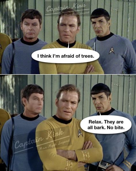 Star Trek Jokes, Star Trek Crew, Punny Jokes, Funny Art History, Man Myth Legend, Star Trek Funny, Star Trek Ships, Funny Words, Dad Jokes