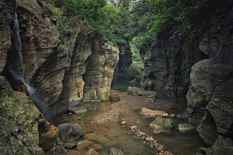 Old Growth Forest Aesthetic, Forest Aesthetic Landscape, Cliff Forest, Forest Cliff, Landscape Jungle, Old Growth Forest, Rock Nature, Camping With Cats, Forest Camp