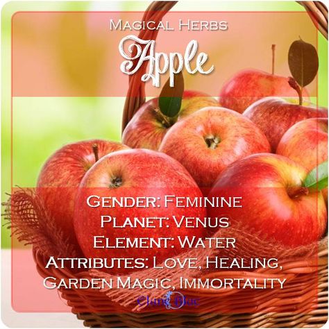 Fruit Magic, Apple Meaning, Magical Plants, Smudging Prayer, Food Magic, Kitchen Witch Recipes, Witch Things, Fire Goddess, Magickal Herbs