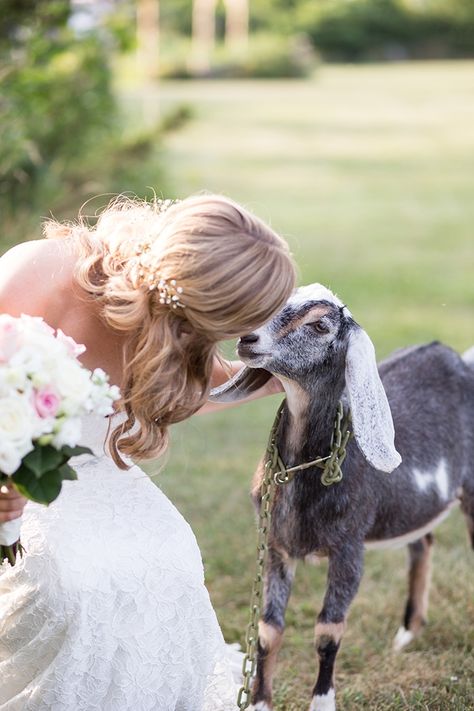 Summer Farm Wedding, Luray Virginia, Southern Virginia, Country Western Wedding, Wedding Glamour, Rustic Farm Wedding, Country Barn Weddings, Goat Farm, Woodsy Wedding