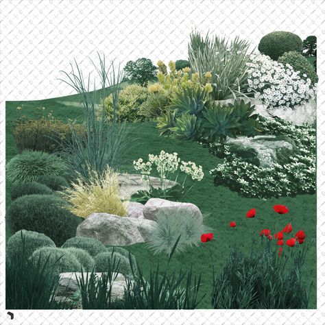 Cutout Assemble Landscape 2 PSD | Toffu Co Architecture Background Photoshop, Landscape Architecture Collage, Collage Plants, Plants Collage, Cutout Painting, Plant Collage, Garden Collage, Tree Photoshop, Collage Landscape