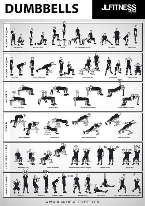 Dumbbells Workout, Gym Posters, Fitness Studio Training, Gym Garage, Dumbbell Exercises, Home Gym Garage, Arm Workout Women, Gym Antrenmanları, Dumbell Workout