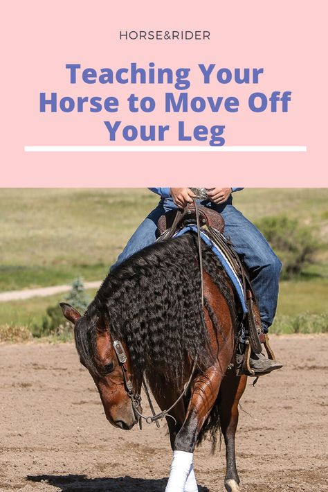 Horse Training Exercises, Horseback Riding Tips, Ranch Riding, Horse Lessons, Riding Tips, Horse Exercises, Trail Ride, Horse Riding Tips, Horse Ideas