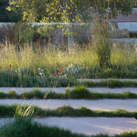 Meadow moves #bernardtrainor #landscape #gardendesign #californialandscape #meadow Pergola Decorations, Weatherboard House, Roof Garden Design, Coastal Gardens, Garden Architecture, Contemporary Garden, Pergola Plans, Paving Stones, Roof Garden