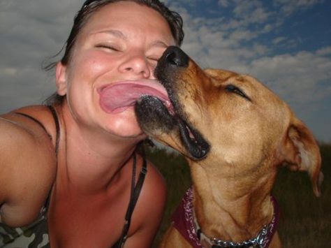 10 Photos of Dogs Giving the Slurpiest Kisses Dog Kiss, Cute Doggies, Photos Of Dogs, Dog Kisses, Puppy Kisses, Beautiful Animals, Special People, Dog Lover, Animals Beautiful