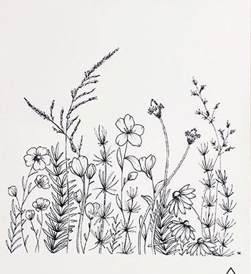 Wildflower Outline Drawing, Wild Flowers Line Drawing, Wild Flower Art Drawings, Wild Flower Line Art, Flowerbed Drawing, Wildflower Tattoo Stencil, Wild Flower Sketches Simple, Wildflower Sketch Drawings, Wild Flower Drawing Simple